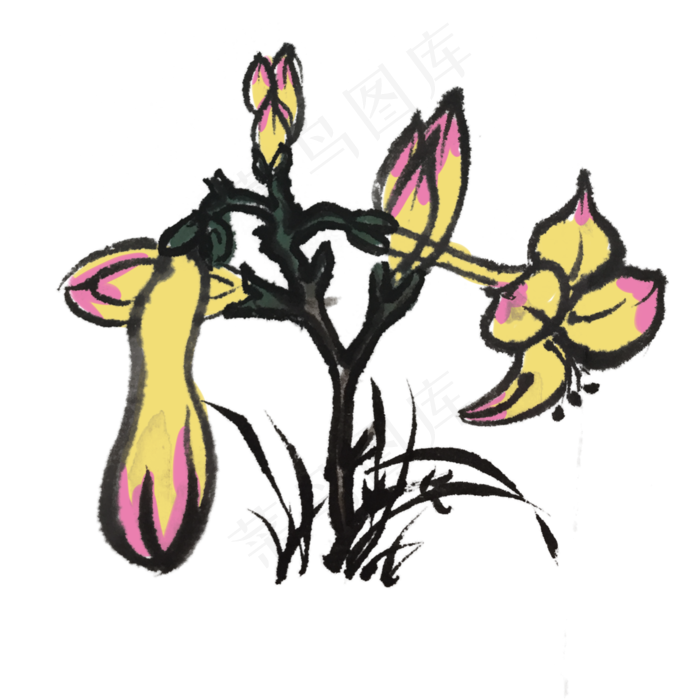 中国风水墨画花朵手绘插画,免抠元素