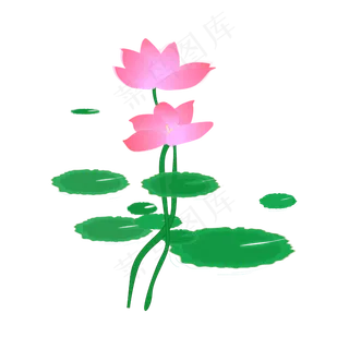 矢量手绘卡通荷花