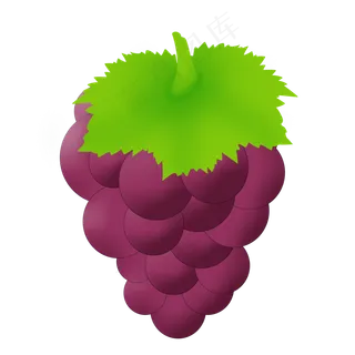夏日暑假水果葡萄