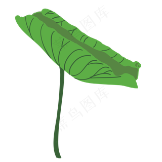 未开的荷叶免抠图