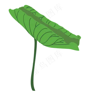 未开的荷叶免抠图