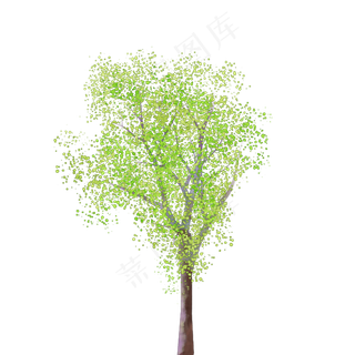 绿色水彩树木免费下载