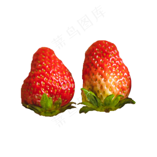 两个新鲜的草莓png