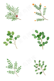 水彩植物绿叶手绘风小清新
