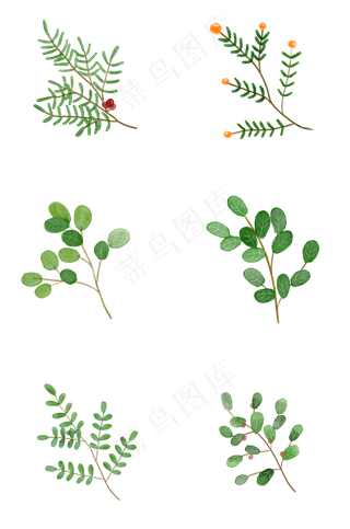 水彩植物绿叶手绘风小清新