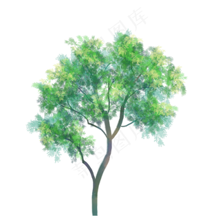 春天长满绿叶的树,免抠元素