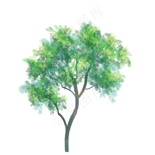 春天长满绿叶的树,免抠元素