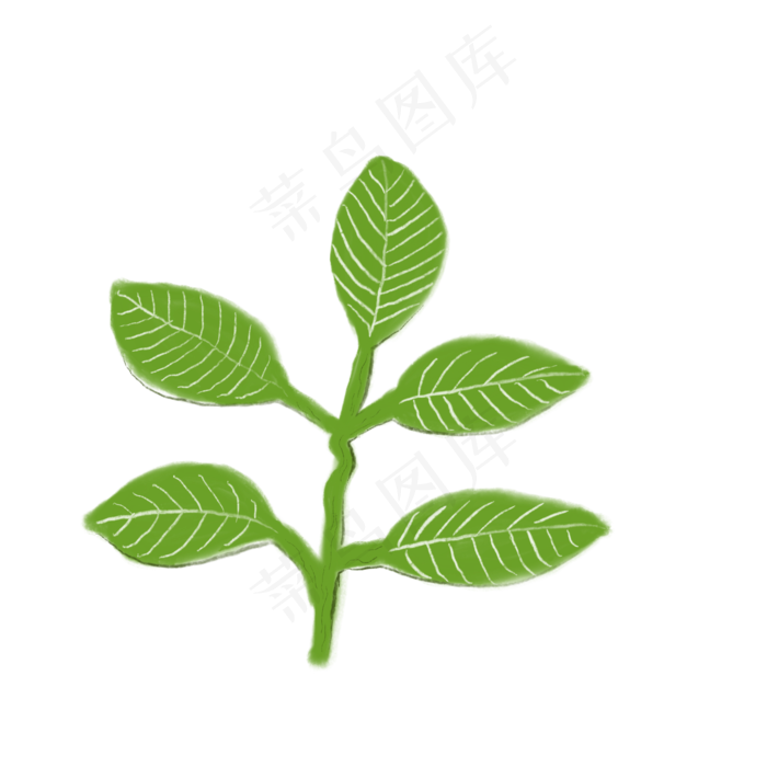 绿色叶子免抠创意插图