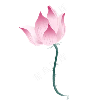 彩色创意绽放的荷花元素