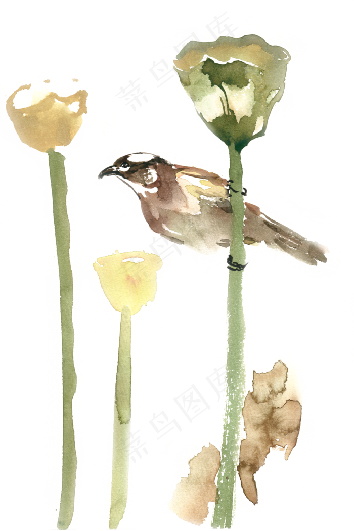 莲蓬间的小鸟水彩画PNG免抠素材(4724X7087(DPI:300))psd模版下载