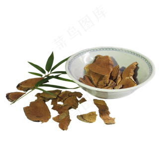 雷公藤中药药材,免抠元素