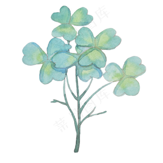 四叶草水彩植物
