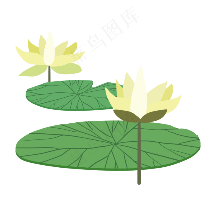 荷叶荷花扁平风(3000X3000(DPI:300))psd模版下载