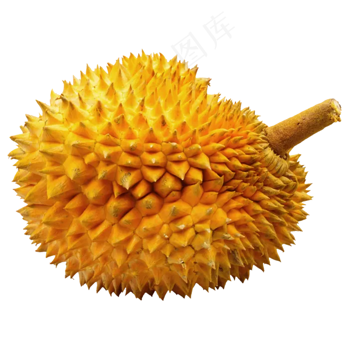 未脱皮的榴莲(2000*2000px 300 dpi )