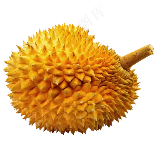 未脱皮的榴莲 未脱皮的榴莲