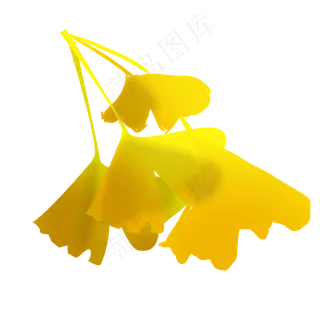 秋叶银杏叶丛落叶秋天可商用手绘