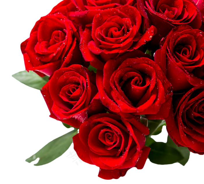 玫瑰花花束(1478X1333(DPI:300))psd模版下载