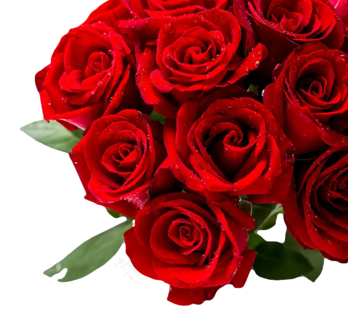 玫瑰花花束(1478X1333(DPI:300))psd模版下载