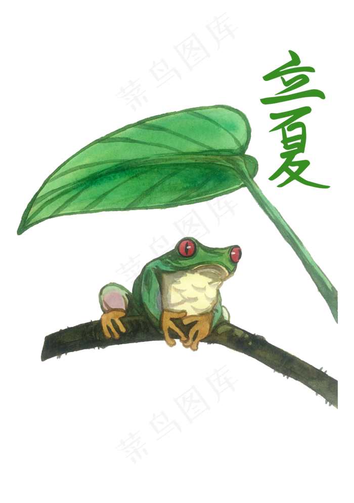 立夏二十四节气青蛙箭蛙热带PNG
