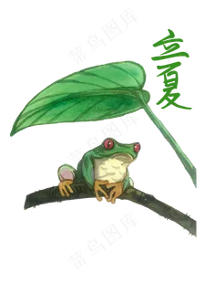 立夏二十四节气青蛙箭蛙热带PNG