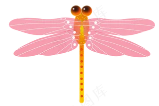 夏季昆虫粉色蜻蜓
