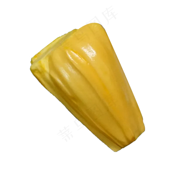 新鲜美味的菠萝蜜(2000X2000(DPI:300))psd模版下载