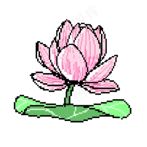 粉色荷花花朵