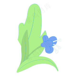 一朵漂亮的蓝色花朵