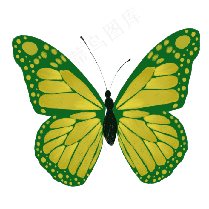 黄绿鲜艳黄绿色蝴蝶(2000X2000(DPI:300))psd模版下载