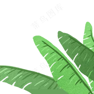 绿叶春季自然植物