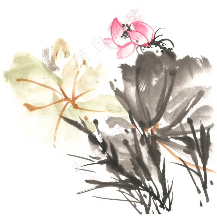 娇艳荷花水墨画PNG免抠素材(3543X4724(DPI:150))psd模版下载