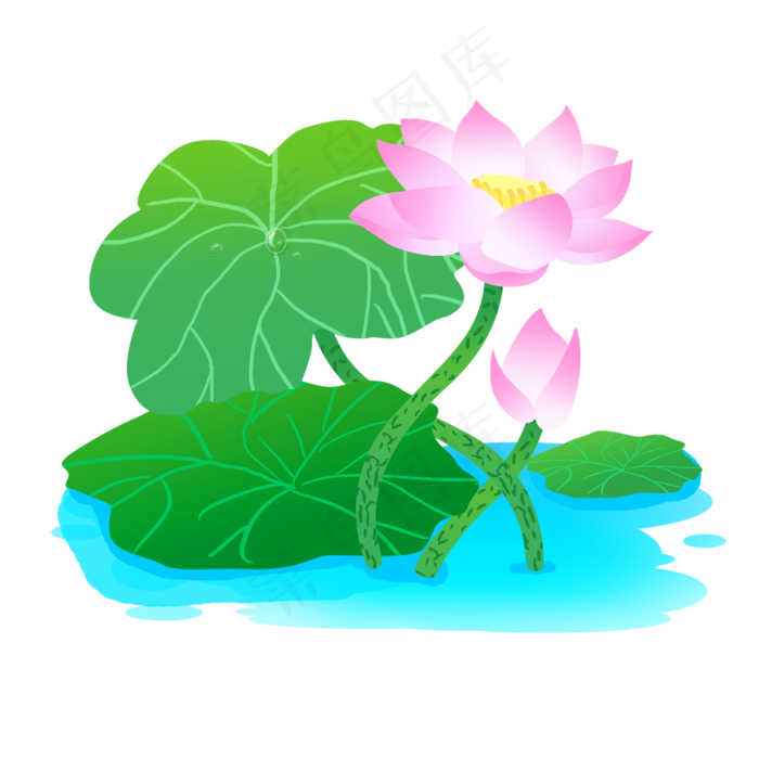 粉色的荷花(2000X2000(DPI:300))psd模版下载