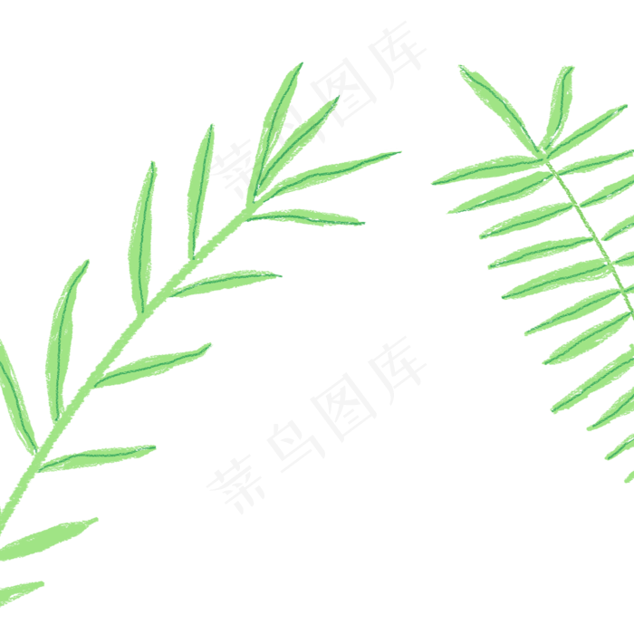植物绿叶PNG下载(2000X2000(DPI:300))psd模版下载