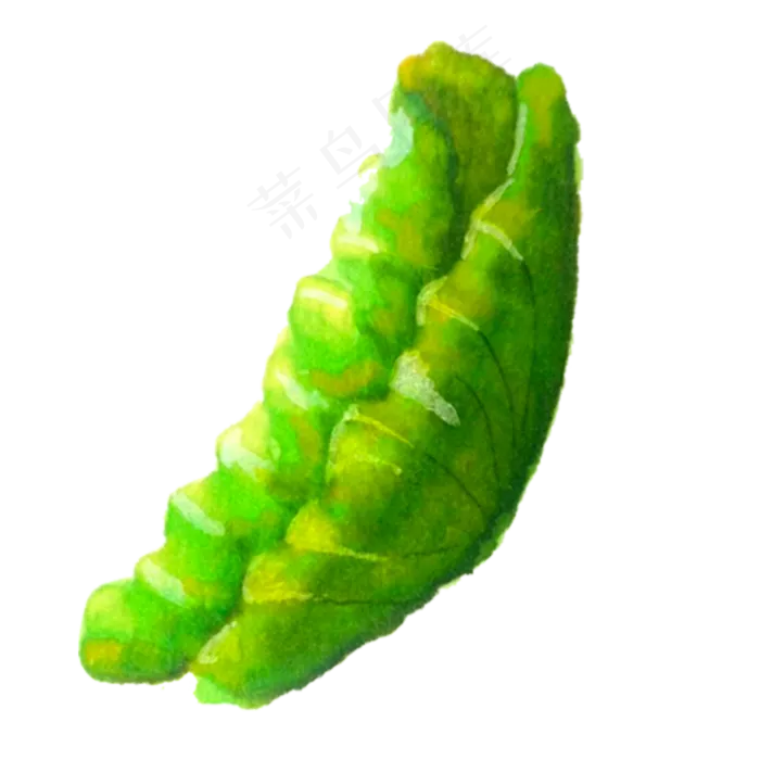 合起来的卡通绿色荷叶(2000X2000(DPI:300))psd模版下载
