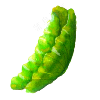合起来的卡通绿色荷叶