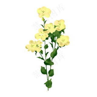 春天花开手绘装饰图案