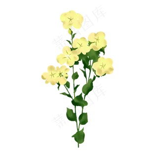 春天花开手绘装饰图案