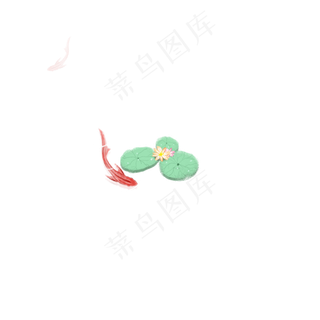 荷花边上的红鲤鱼