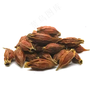 中医药材栀子花子