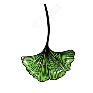 速写风格矢量银杏叶