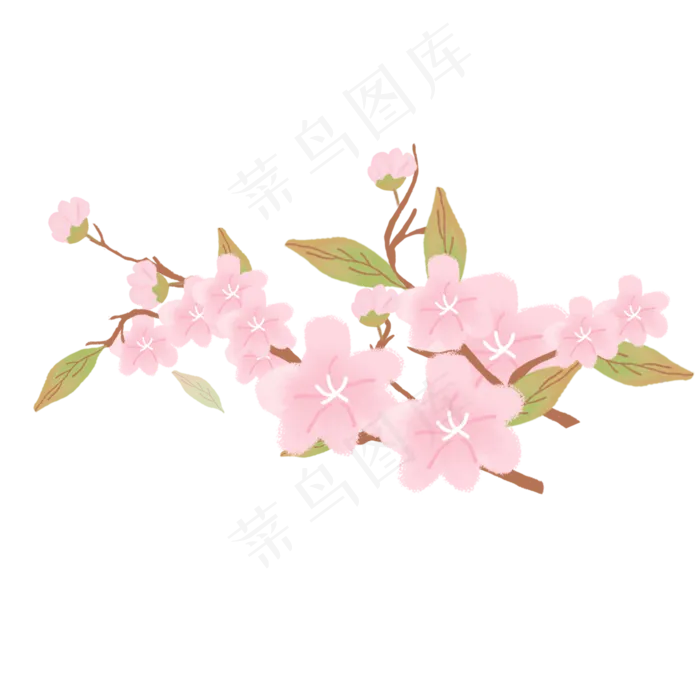 手绘春季粉色的樱花,免抠元素
