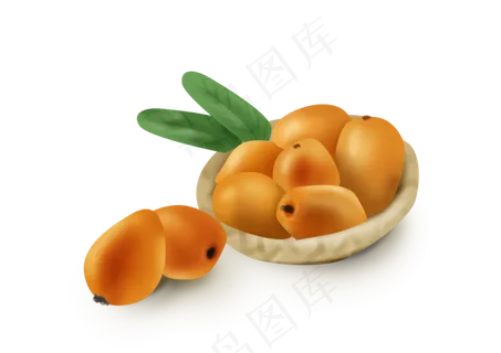 手绘夏季水果枇杷果