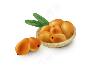 手绘夏季水果枇杷果