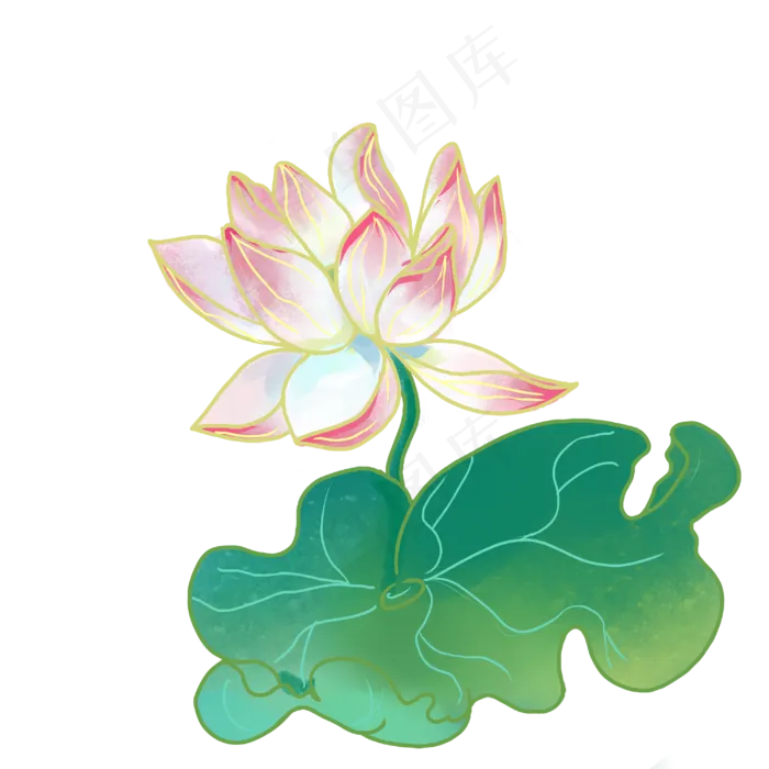 夏季荷花(3000X3000(DPI:299))psd模版下载