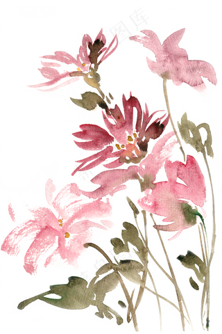 鲜艳花组合水彩画PNG免抠素材