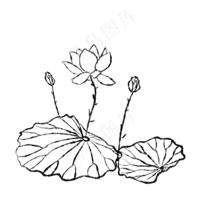荷花中国风古风花苞,免抠元素