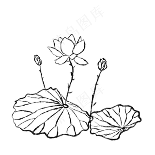 荷花中国风古风花苞,免抠元素