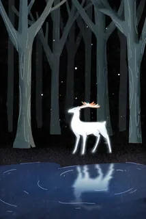 唯美森林里的白露 唯美森林里的白露