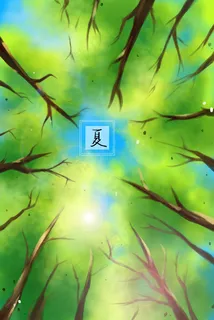 夏日树林中仰视天空阳光从缝隙中洒下来下来