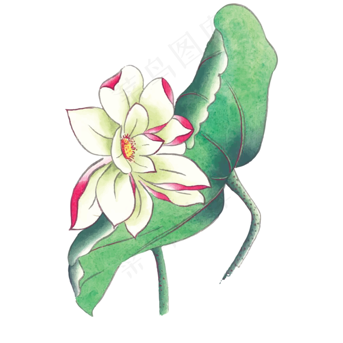 卡通手绘白色莲花下载